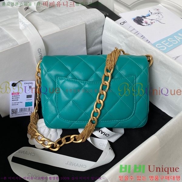 #  ÷  AS4231-101