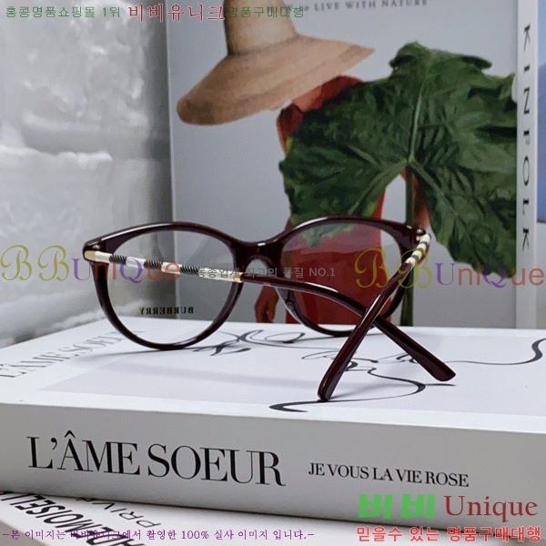 ������ �Ȱ� B500415-1