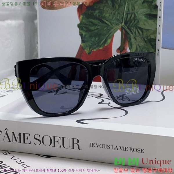 ������ü ���۶� VE102295-6