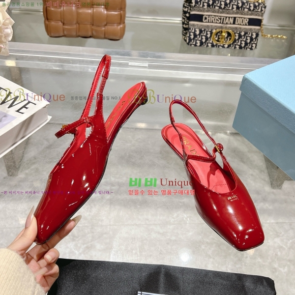  ̴Ʈ ÷  30P258224-2  2.5CM
