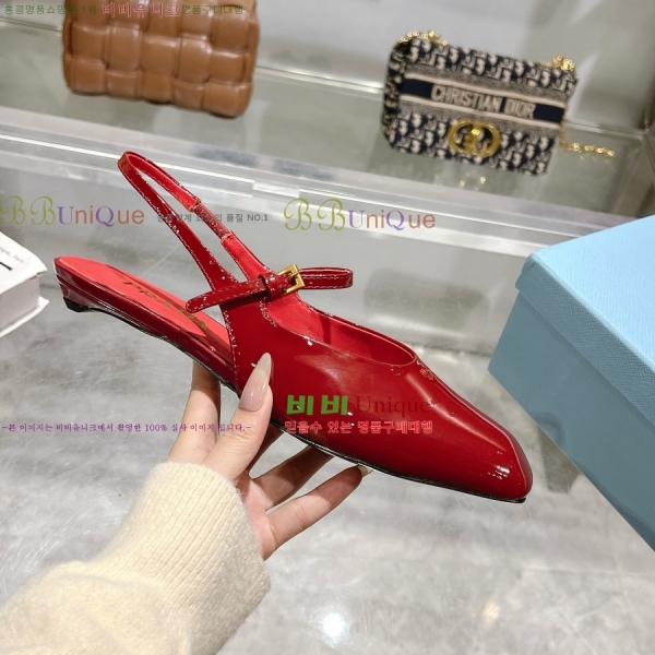  ̴Ʈ ÷  30P258224-2  2.5CM