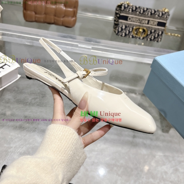  ̴Ʈ ÷  30P258224-3  2.5CM