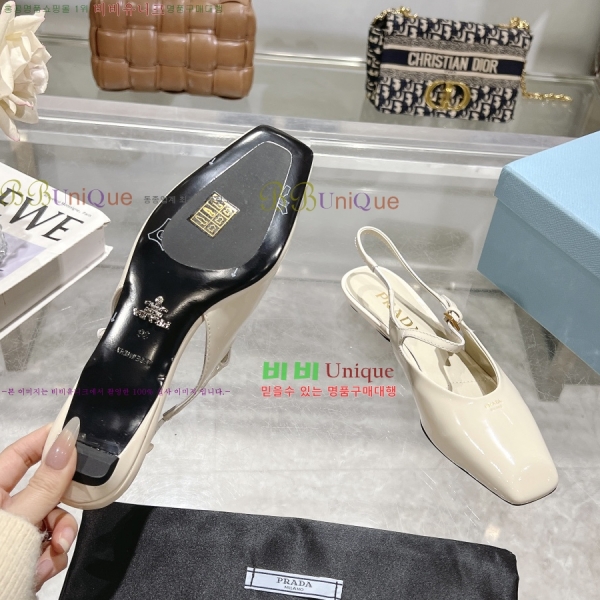  ̴Ʈ ÷  30P258224-3  2.5CM