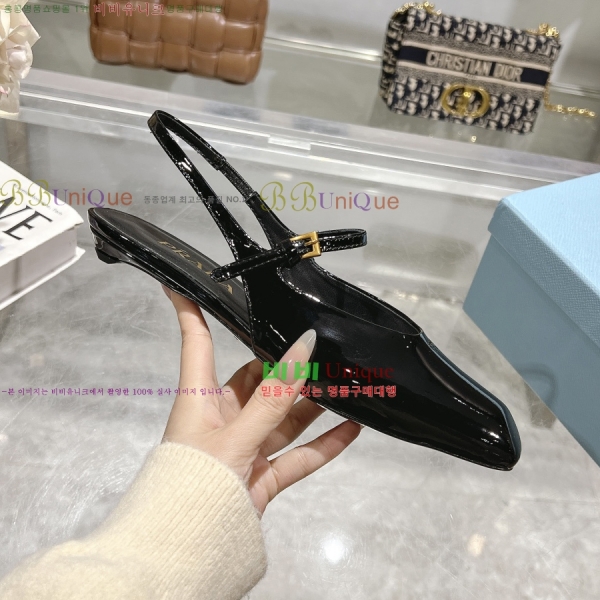  ̴Ʈ ÷  30P258224-1  2.5CM