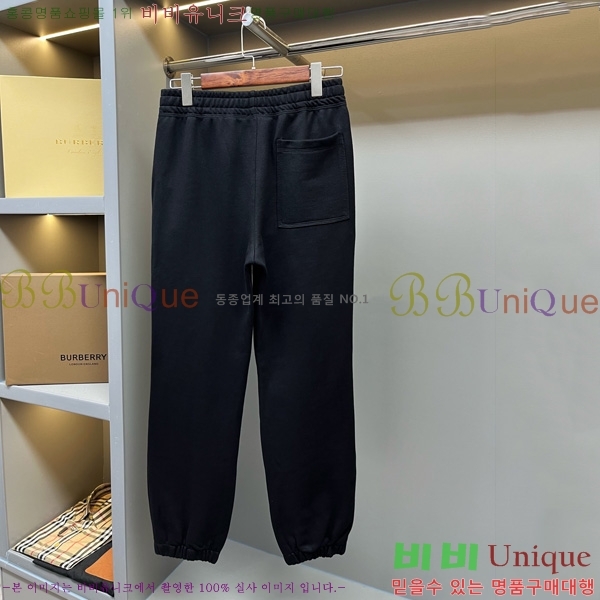    BU528053