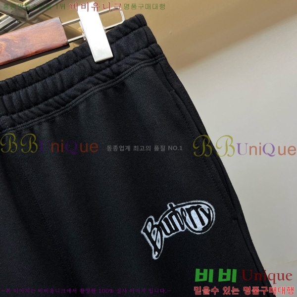    BU528053