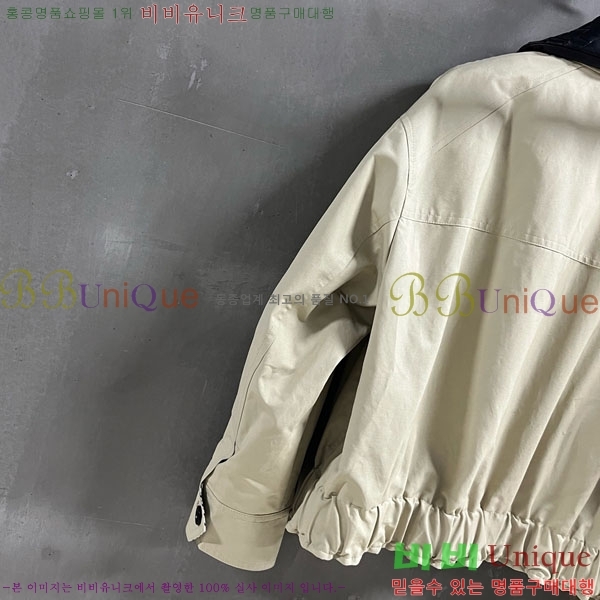 ���� ���װ�����Ÿ ���� BV13061208-1