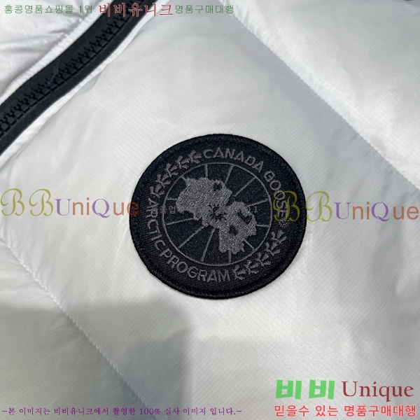  ĳٱ ٿ е   CAG53069-1