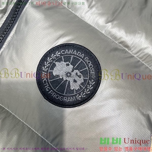  ĳٱ ٿ е   CAG53069-4