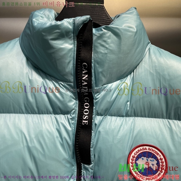  ĳٱ ٿ е   CAG53068-2