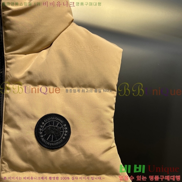  ĳٱ ٿ е   CAG53070-2