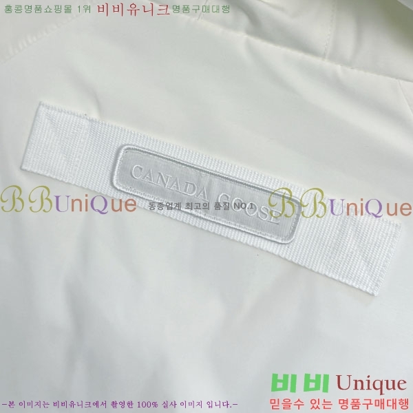 ���� ĳ���ٱ��� �ٿ� �е� CAG157500-2