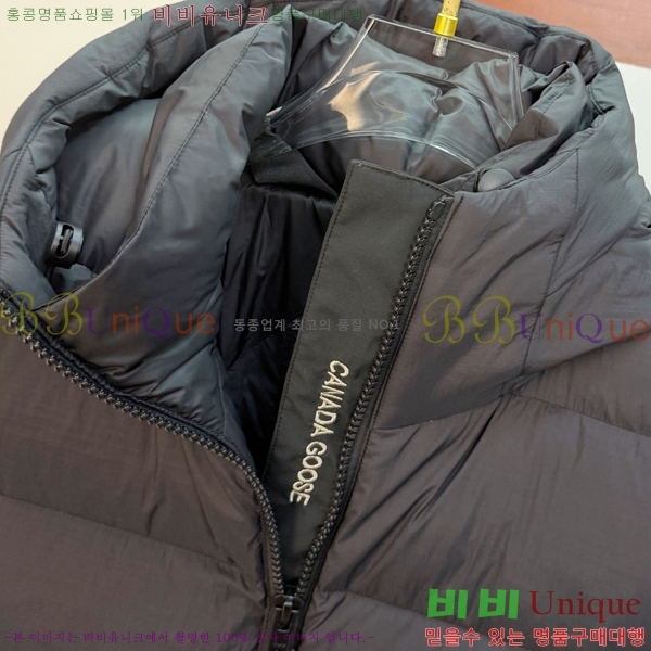  ĳٱ ٿ е CAG215558-2