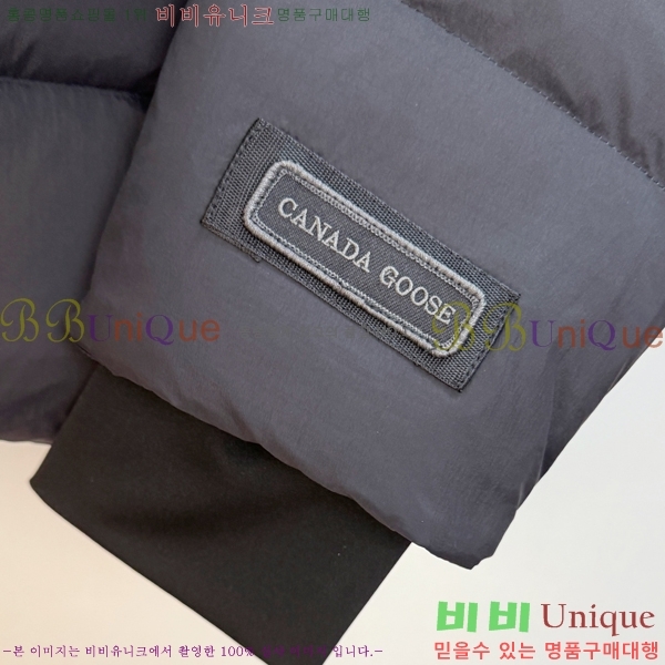  ĳٱ ٿ е CAG215558-2