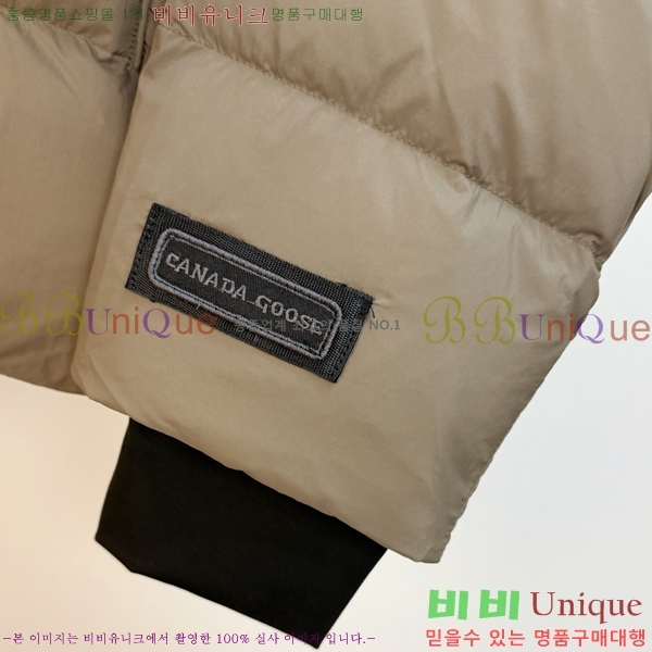  ĳٱ ٿ е CAG215558-1