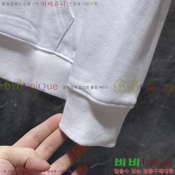 ���� ũ������ �ĵ�Ƽ CH8669-1