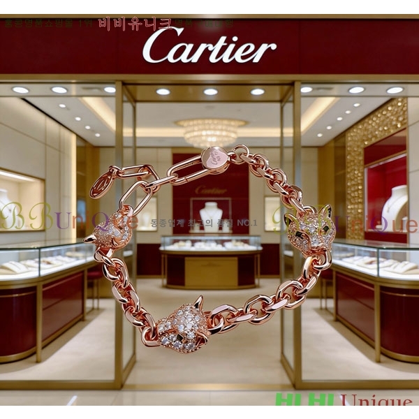 �������� ��쿡 ���� CA3434507-12