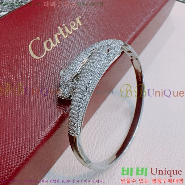 �������� ��쿡 ���� CA333520-1