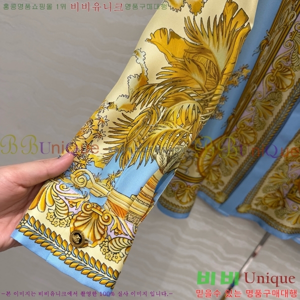 ���� ������ü ���� VS2463450-2