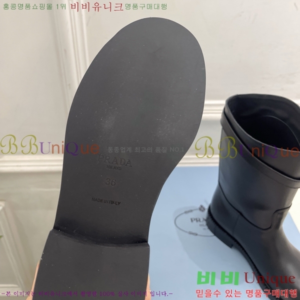 ���� ����� ���� PA573684-1