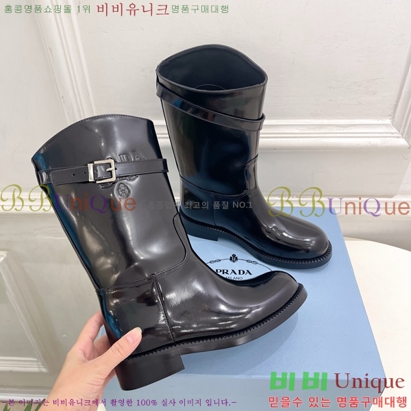 ���� ����� ���� PA573684-2
