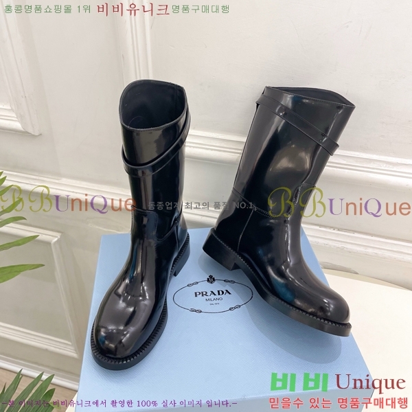 ���� ����� ���� PA573684-2