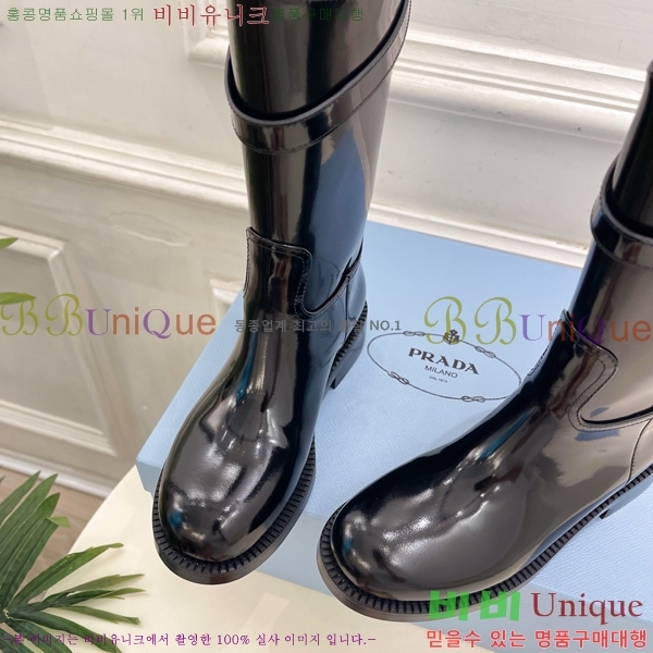 ���� ����� ���� PA573684-2