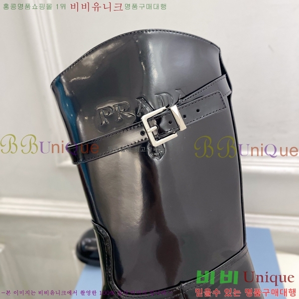 ���� ����� ���� PA573684-2
