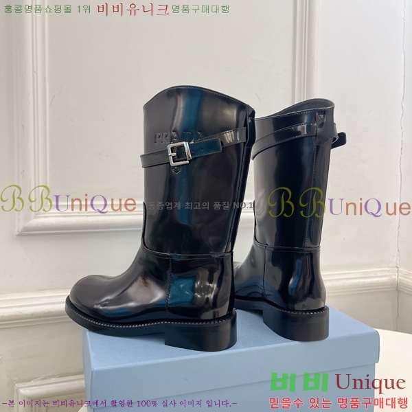 ���� ����� ���� PA573684-2