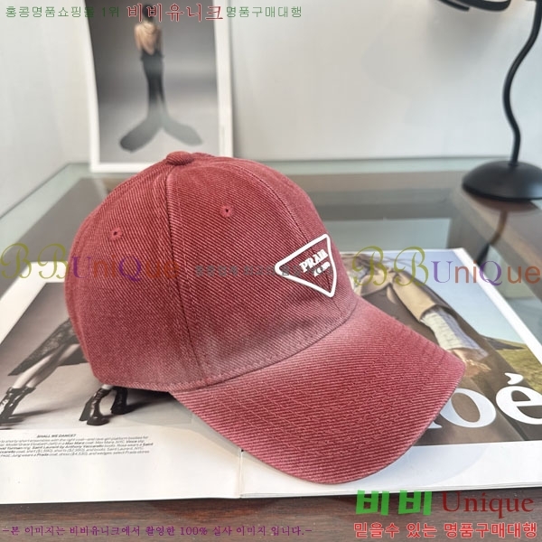 ����� ���� P1558019-1