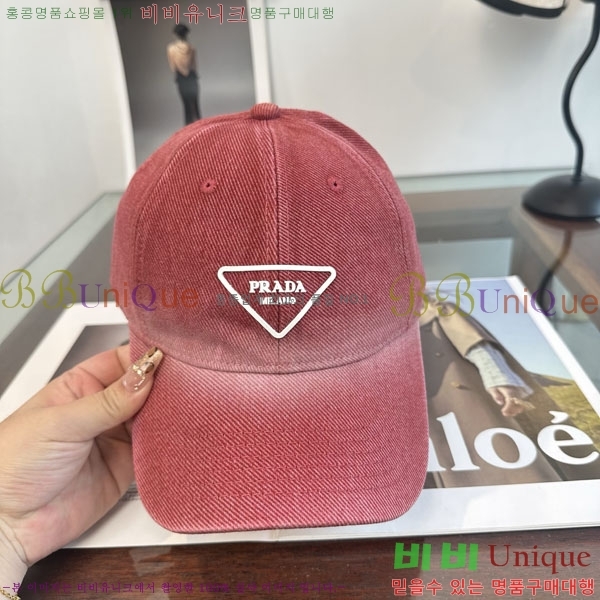 ����� ���� P1558019-1