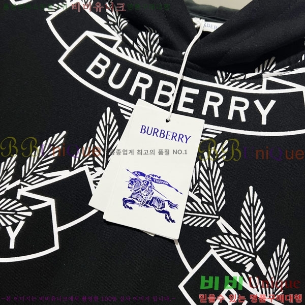���� ������ �ĵ�Ƽ BU385171-1