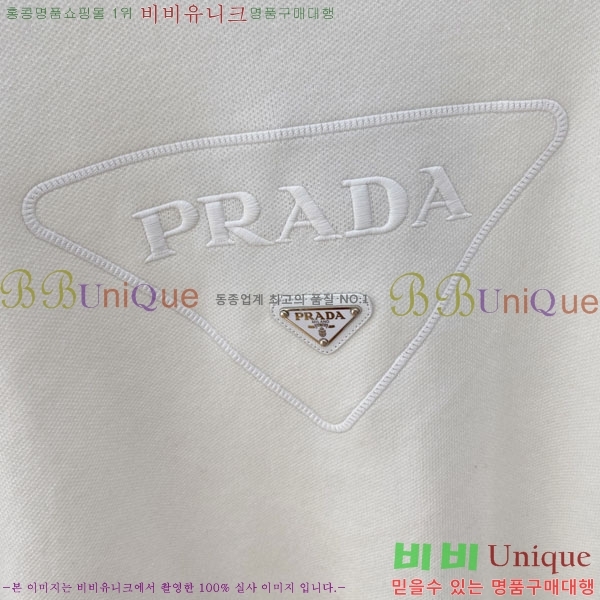 ���� ����� ������ PRA231588-1