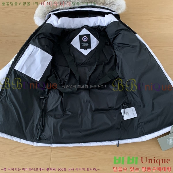 ���� ĳ���ٱ��� �ٿ� �е� CAG15738-2