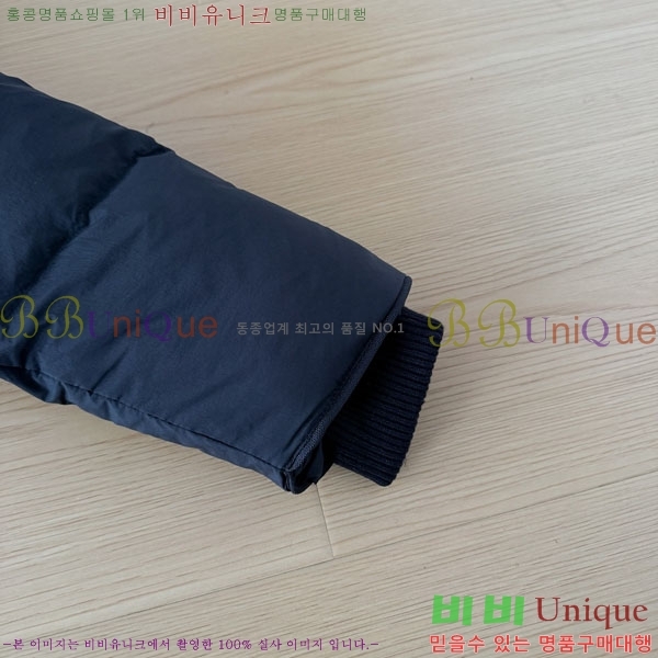 ���� ĳ���ٱ��� �ٿ� �е� CAG15741-2