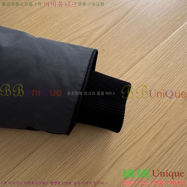 ���� ĳ���ٱ��� �ٿ� �е� CAG15743-2