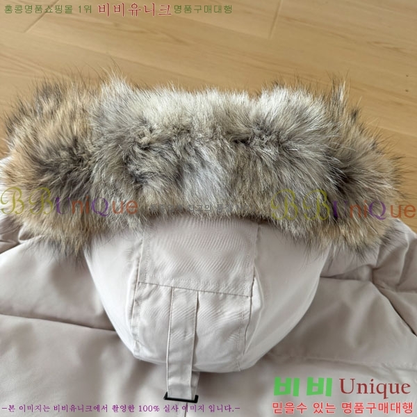���� ĳ���ٱ��� �ٿ� �е� CAG15745-1