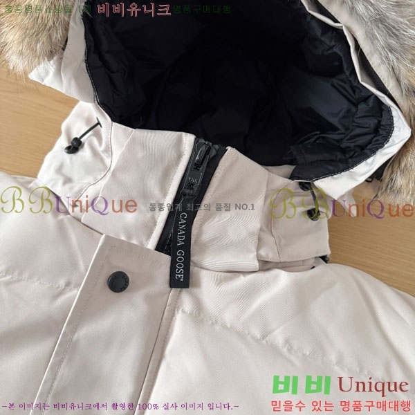 ���� ĳ���ٱ��� �ٿ� �е� CAG15745-1