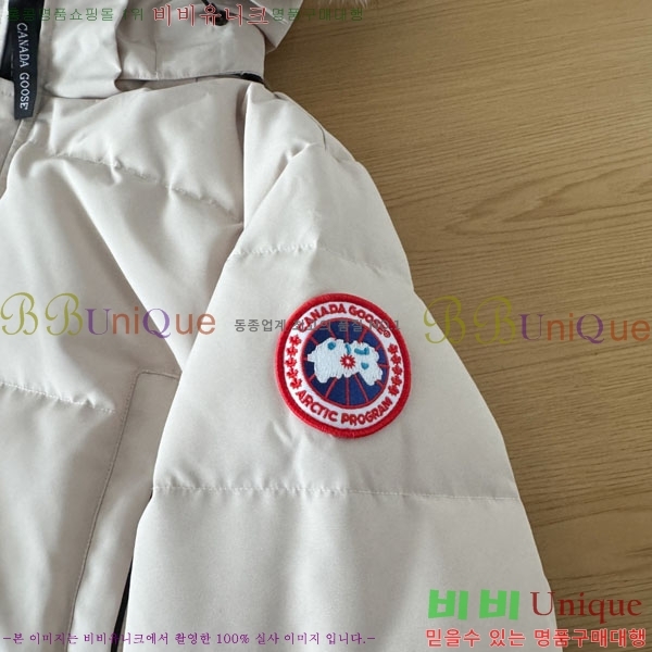 ���� ĳ���ٱ��� �ٿ� �е� CAG15745-1