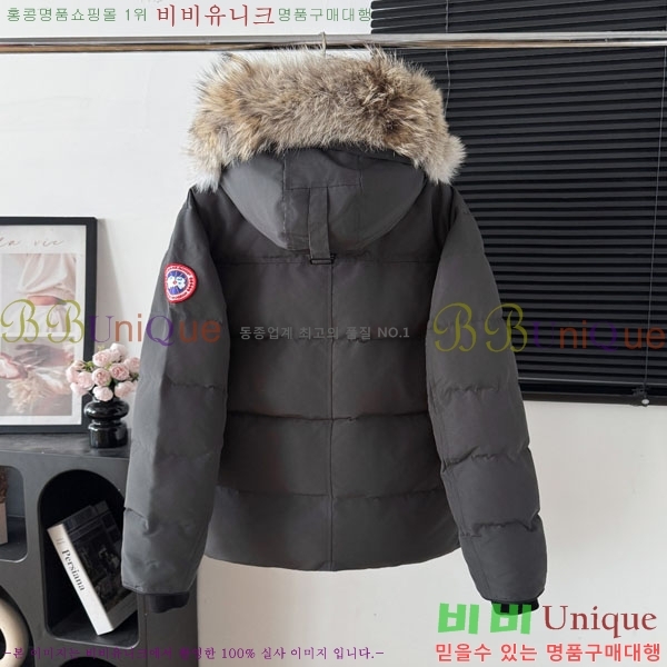 ���� ĳ���ٱ��� �ٿ� �е� CAG15745-3