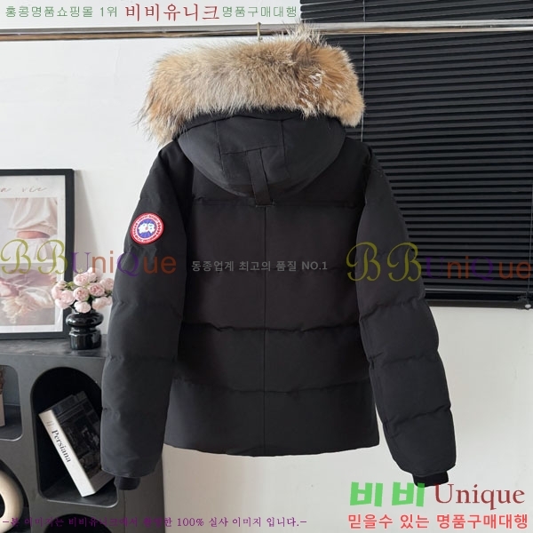 ���� ĳ���ٱ��� �ٿ� �е� CAG15745-4