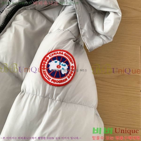 ���� ĳ���ٱ��� �ٿ� �е� CAG15739-2