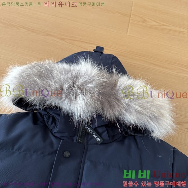 ���� ĳ���ٱ��� �ٿ� �е� CAG15745-6