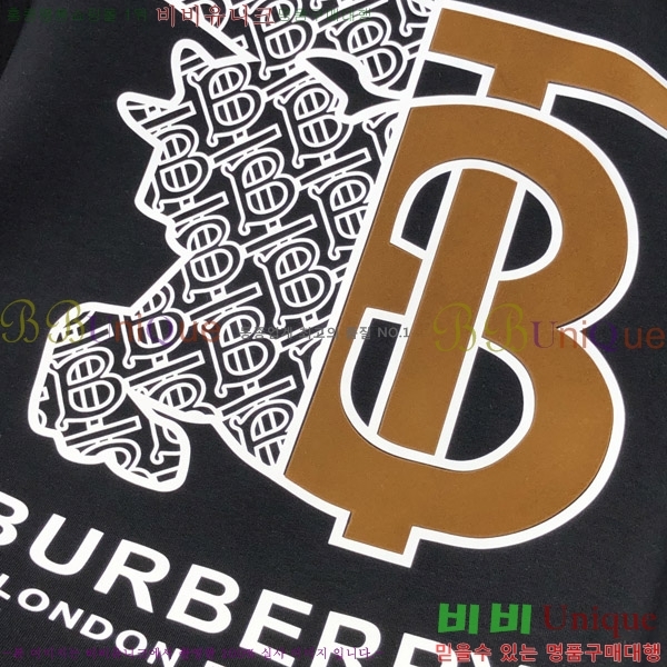 ���� ������ ������ BU385195
