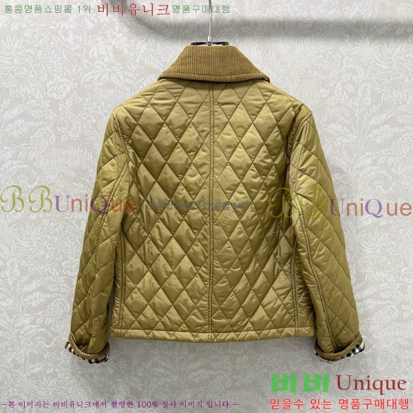 ���� ������ �е� ���� BUR057643-1