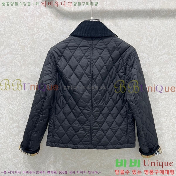 ���� ������ �е� ���� BUR057643-1